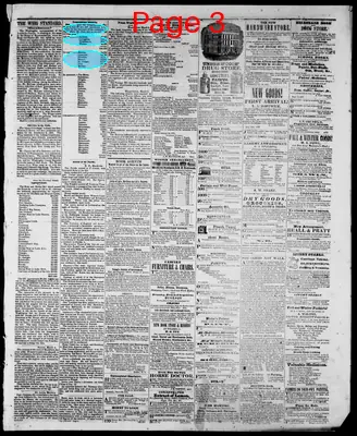 Page thumbnail for Hillsdale Whig Standard