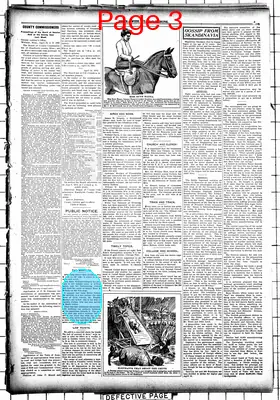 Page thumbnail for Willmar Tribune