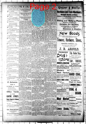 Page thumbnail for New Ulm Review