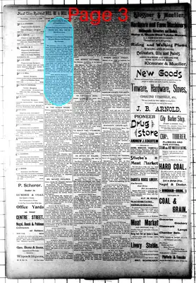 Page thumbnail for New Ulm Review