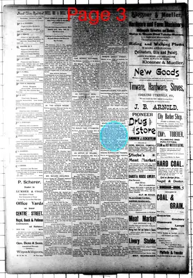 Page thumbnail for New Ulm Review