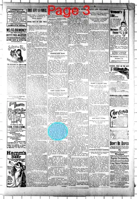 Page thumbnail for New Ulm Review