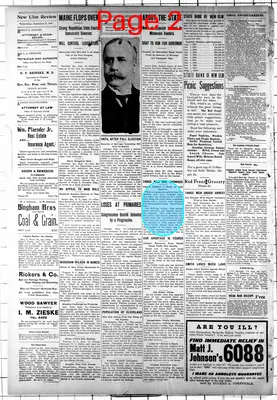 Page thumbnail for New Ulm Review