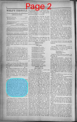 Page thumbnail for Woman's Chronicle