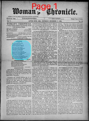 Page thumbnail for Woman's Chronicle