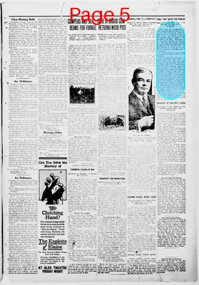 Page thumbnail for The Dermott News