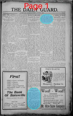 Page thumbnail for The Daily Guard