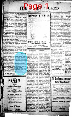 Page thumbnail for The Daily Guard