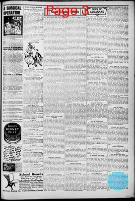 Page thumbnail for The Nevada County Picayune