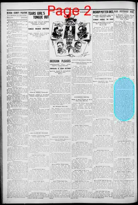 Page thumbnail for The Nevada County Picayune