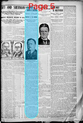 Page thumbnail for The Nevada County Picayune