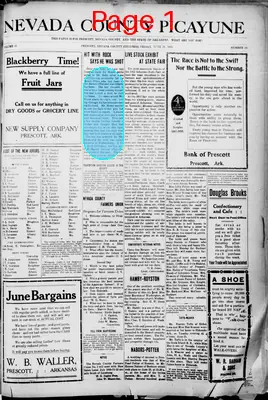 Page thumbnail for The Nevada County Picayune