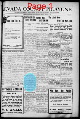 Page thumbnail for The Nevada County Picayune