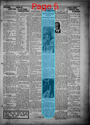 Page thumbnail for The Forrest City Times And Herald