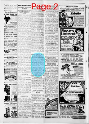 Page thumbnail for The Idaho Springs Siftings News