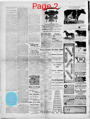 Page thumbnail for The Meeker Herald