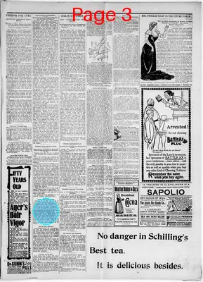 Page thumbnail for The State Herald