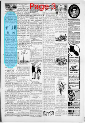 Page thumbnail for The State Herald