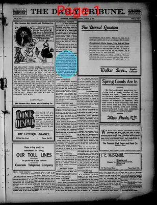 Page thumbnail for The Daily Tribune