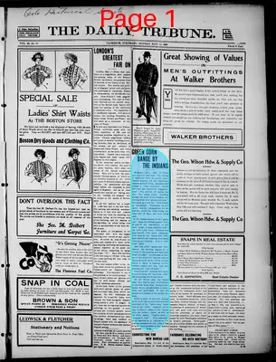 Page thumbnail for The Daily Tribune