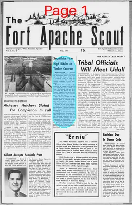 Page thumbnail for The Fort Apache Scout