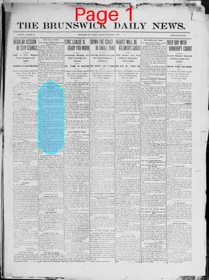 Page thumbnail for The Brunswick Daily News