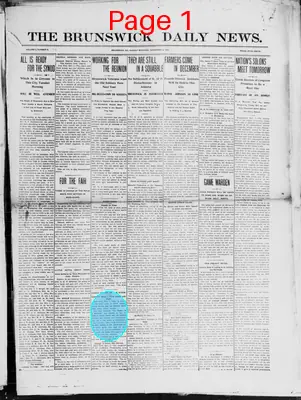 Page thumbnail for The Brunswick Daily News