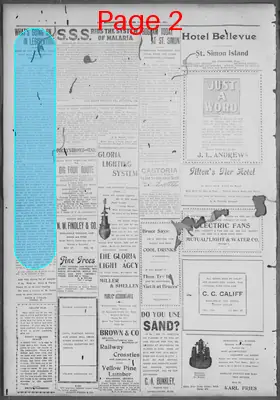 Page thumbnail for The Brunswick News
