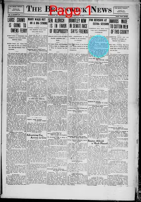 Page thumbnail for The Brunswick News