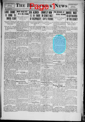 Page thumbnail for The Brunswick News