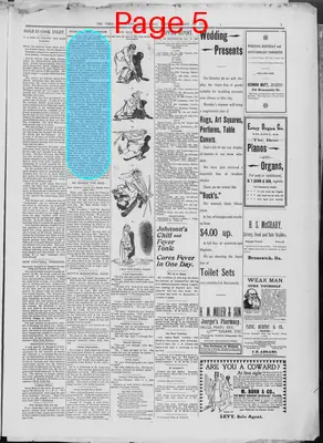 Page thumbnail for The Brunswick Times