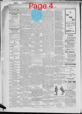 Page thumbnail for The Brunswick Times