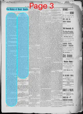 Page thumbnail for The Brunswick Times