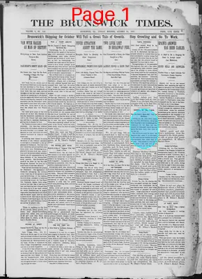 Page thumbnail for The Brunswick Times