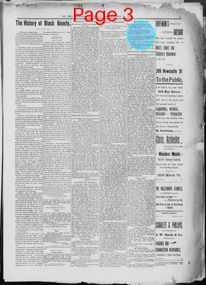 Page thumbnail for The Brunswick Times