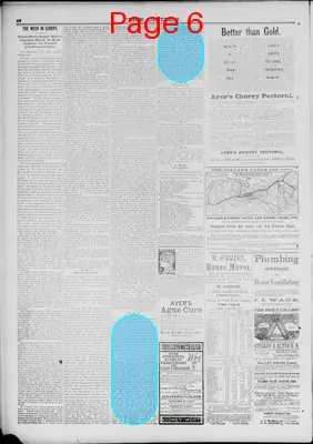 Page thumbnail for The Citizen