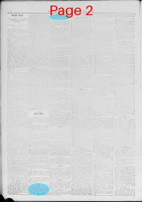 Page thumbnail for The Citizen