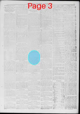 Page thumbnail for The Citizen