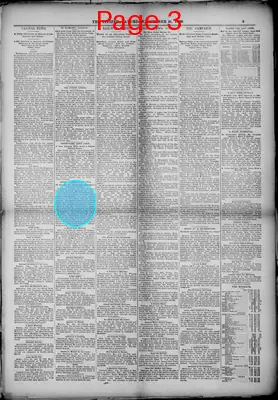 Page thumbnail for The Citizen