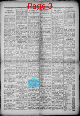 Page thumbnail for The Citizen