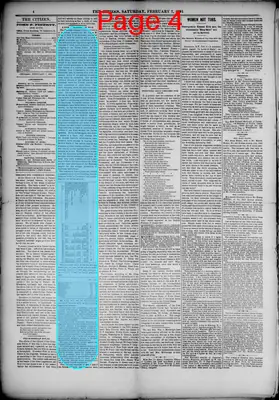 Page thumbnail for The Citizen