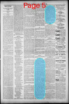 Page thumbnail for The Citizen