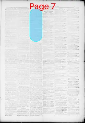Page thumbnail for The Citizen