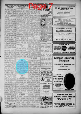 Page thumbnail for The Chicago Citizen
