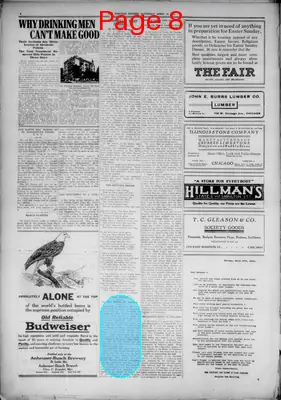 Page thumbnail for The Chicago Citizen