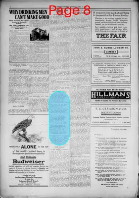 Page thumbnail for The Chicago Citizen