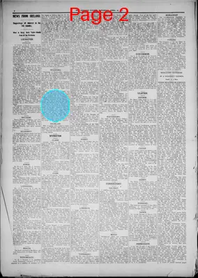 Page thumbnail for The Chicago Citizen
