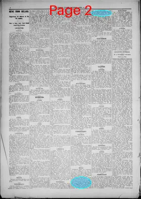 Page thumbnail for The Chicago Citizen