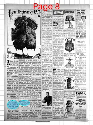 Page thumbnail for The Ely Miner