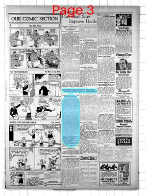 Page thumbnail for The Ely Miner